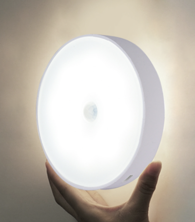 body induction LED light