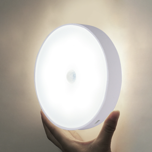 body induction LED light